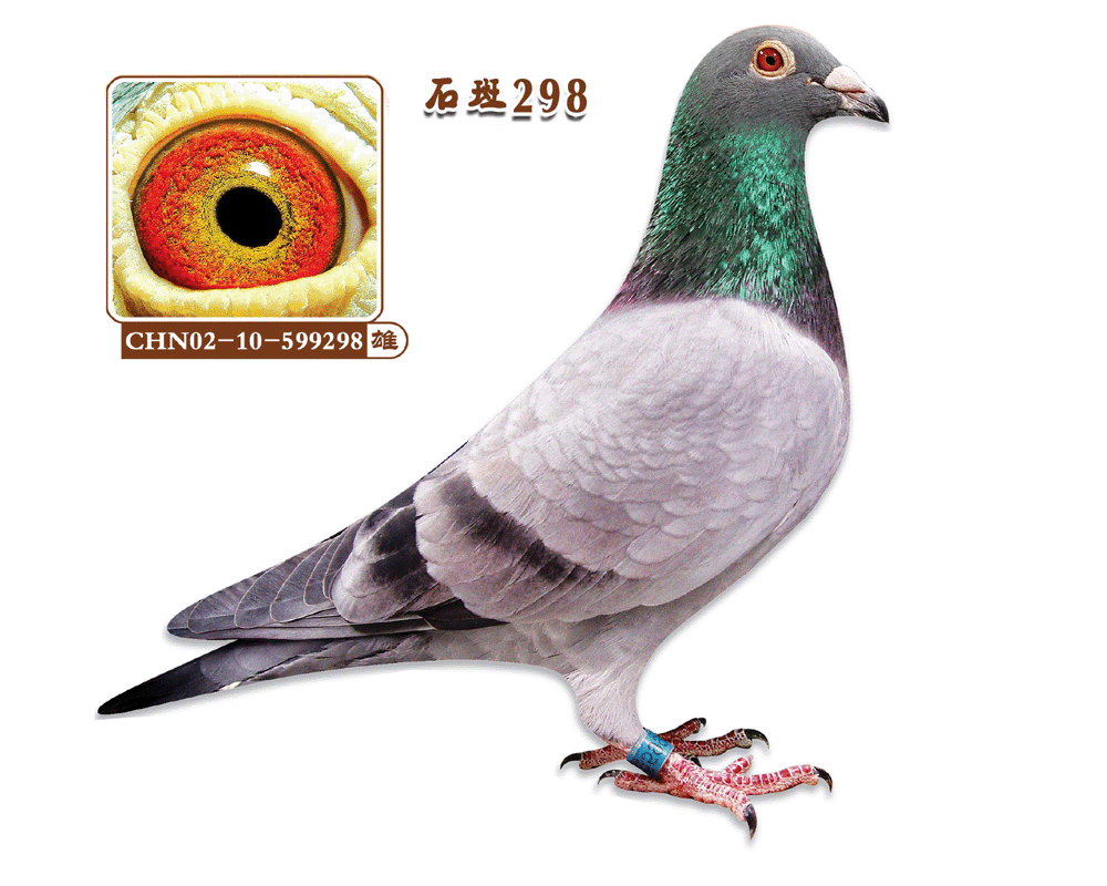 ʯ298