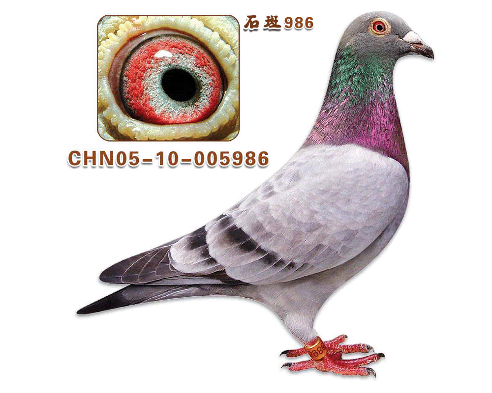 708