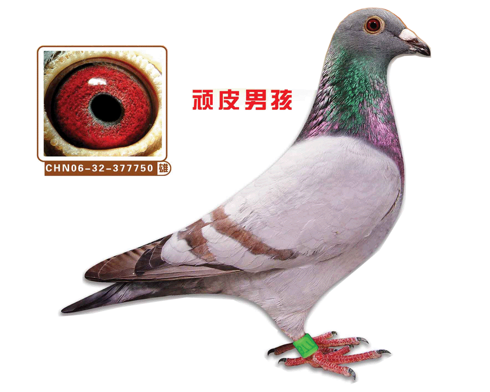 BƤк