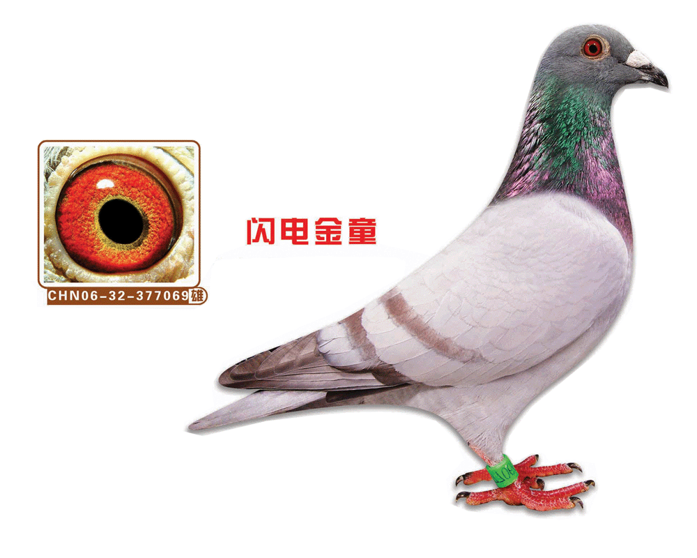 W늽ͯ