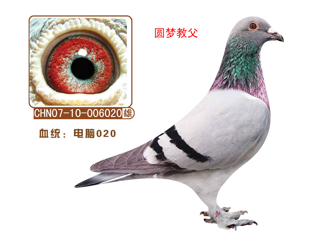 X020(A(mng)̸)