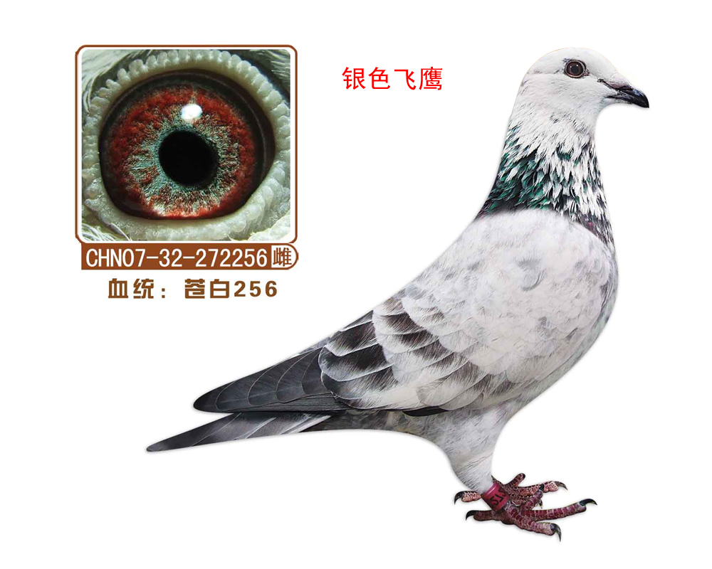 n256(yɫw)