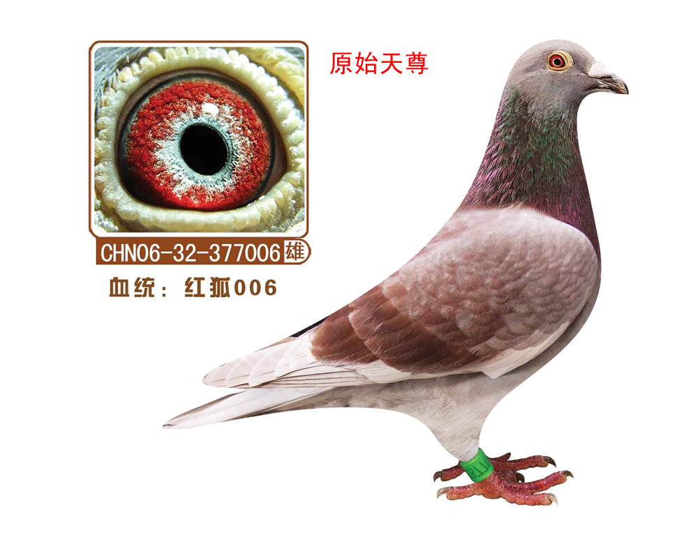 ʯt006(ԭʼ)