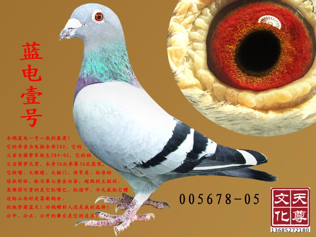 {(ln)Ҽ̖