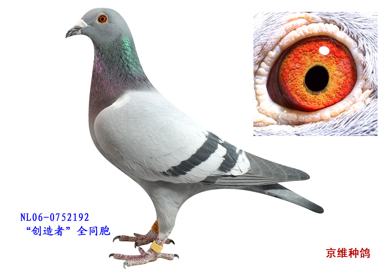 (chung)ͬ0752192