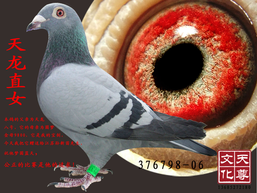 ֱŮ