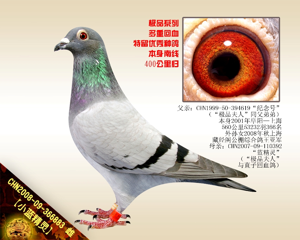 С{`OƷˡѪOŮ
