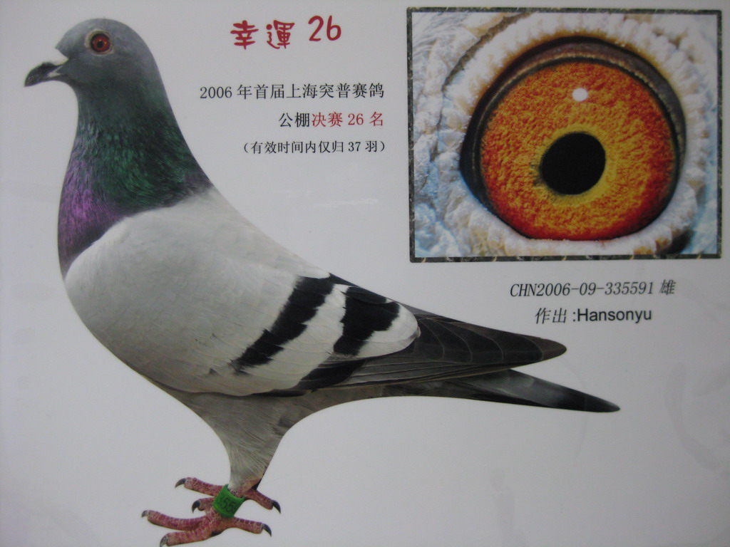 \26