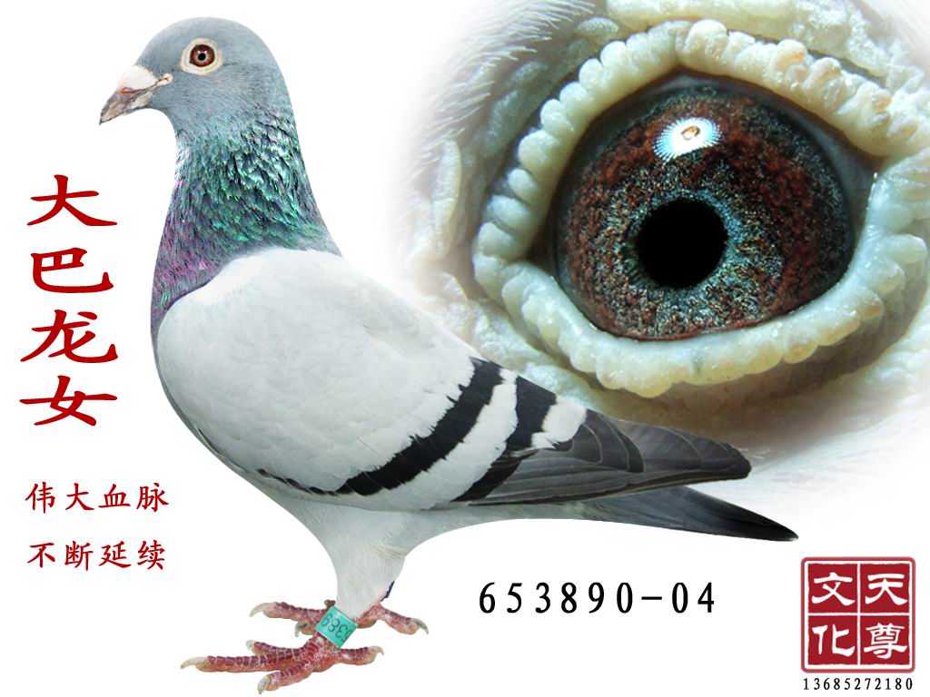 Ů