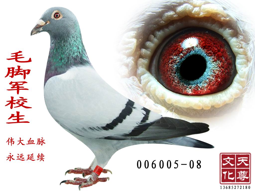 ë_܊У