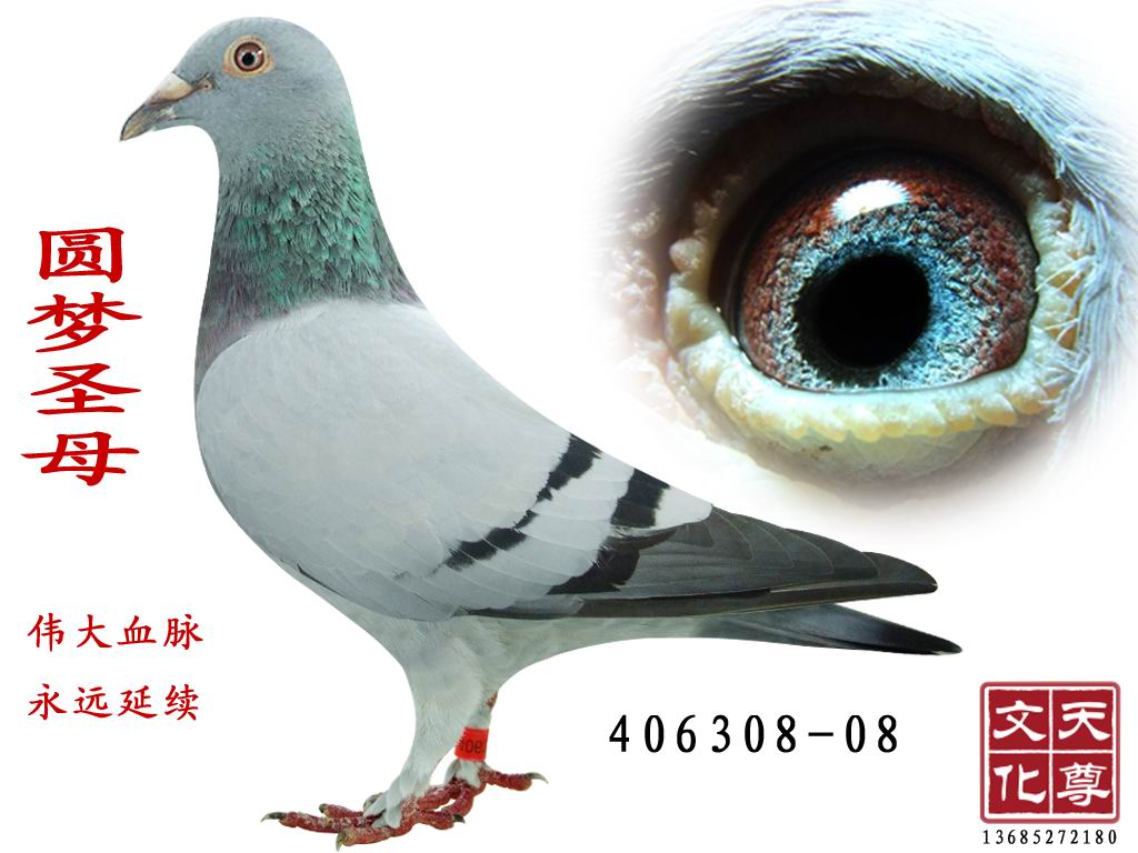 Aʥĸ