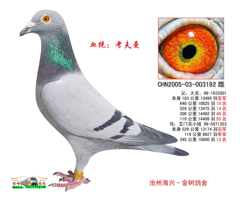 ˡֱŮ
