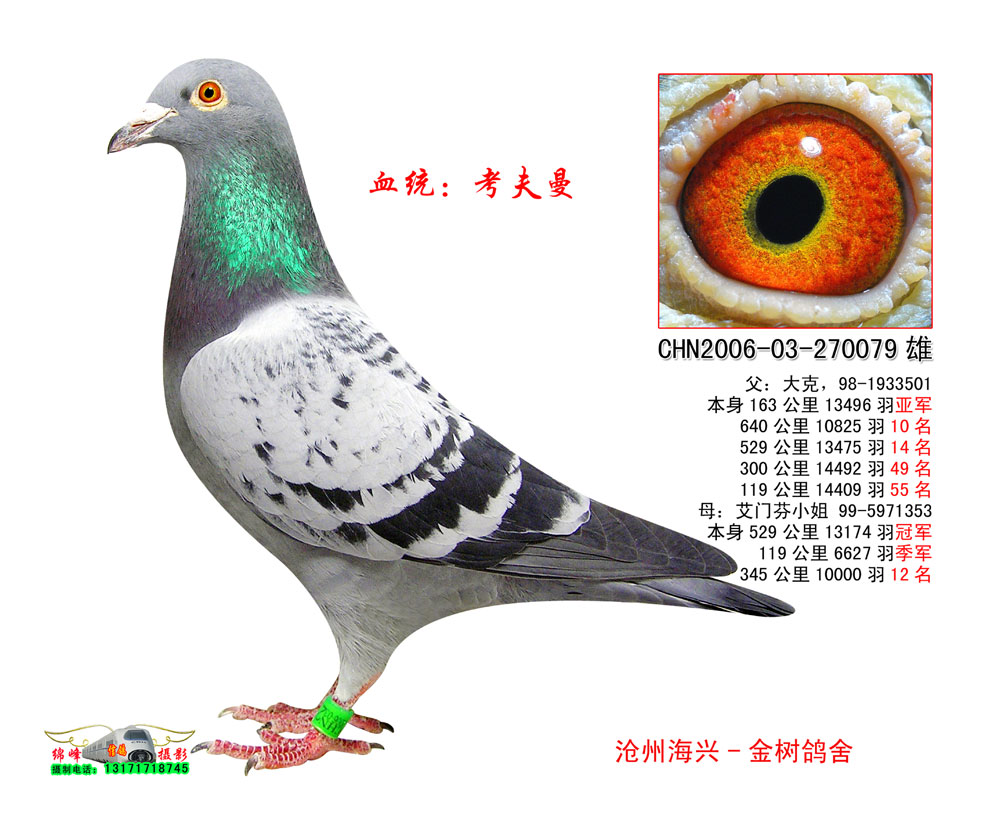 ˡֱ