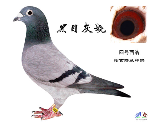 Ŀҋ