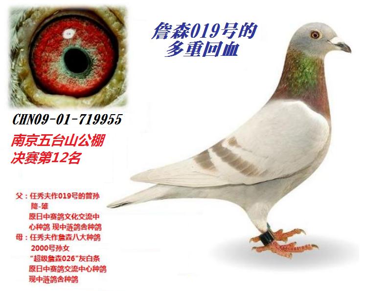 09����̨ɽ�������12����