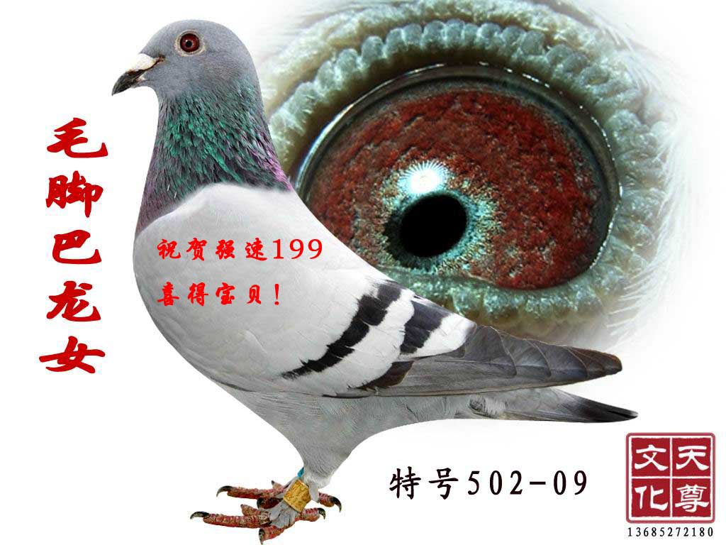 ë_Ů