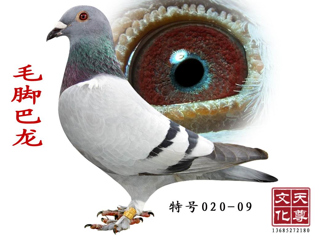 ë_