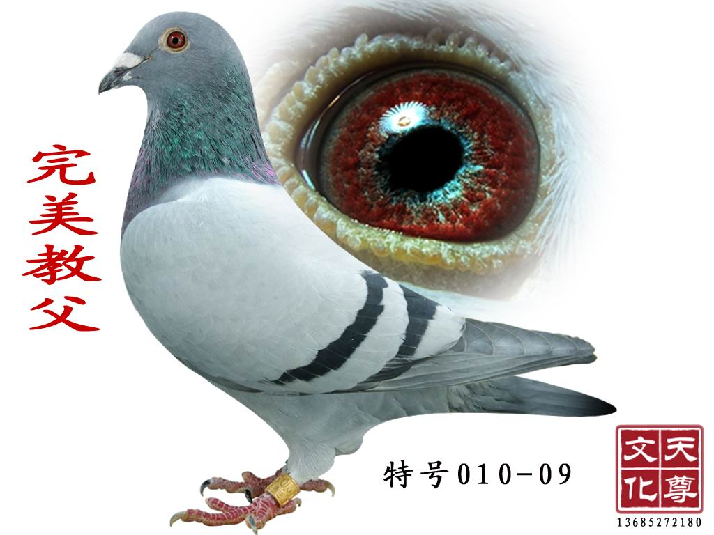 ̸
