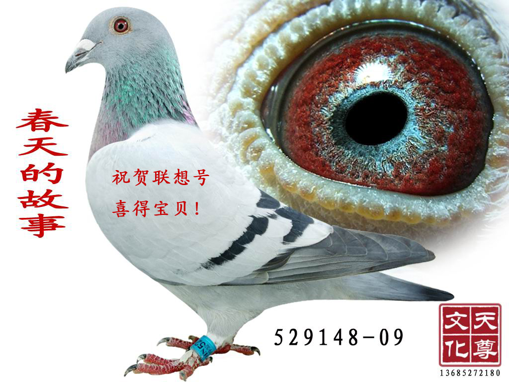 Ĺ
