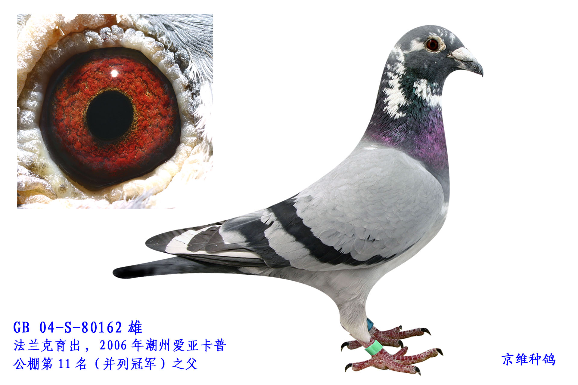 m - 80162