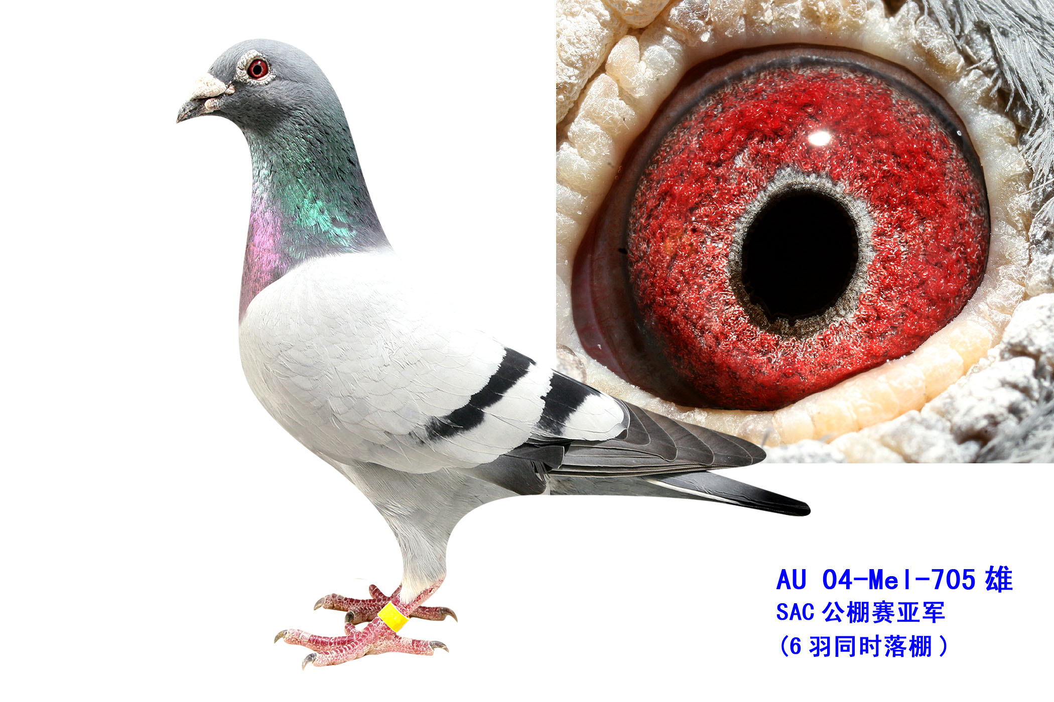 ܊-705