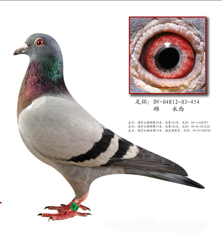 ĸ