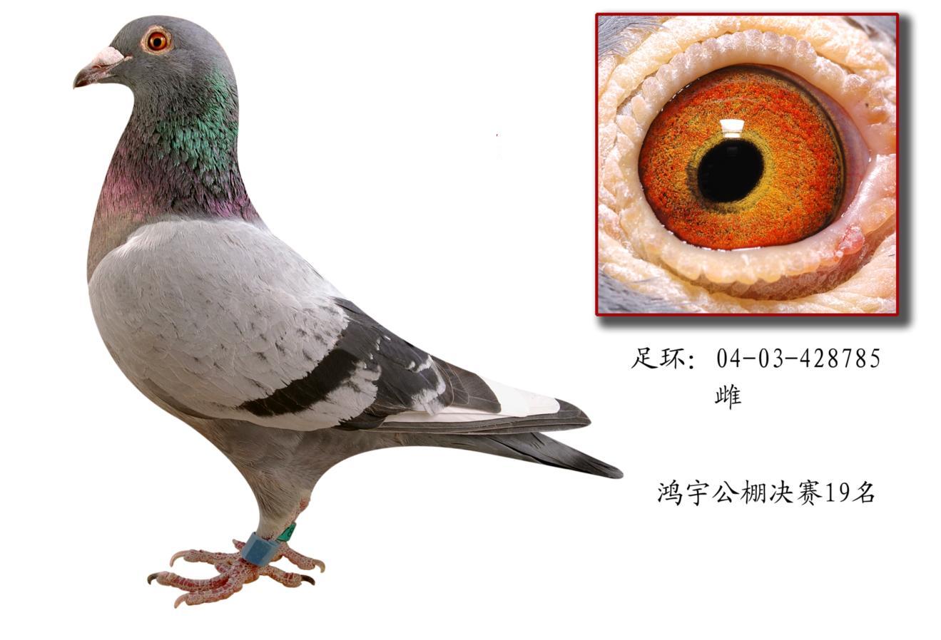 䌚