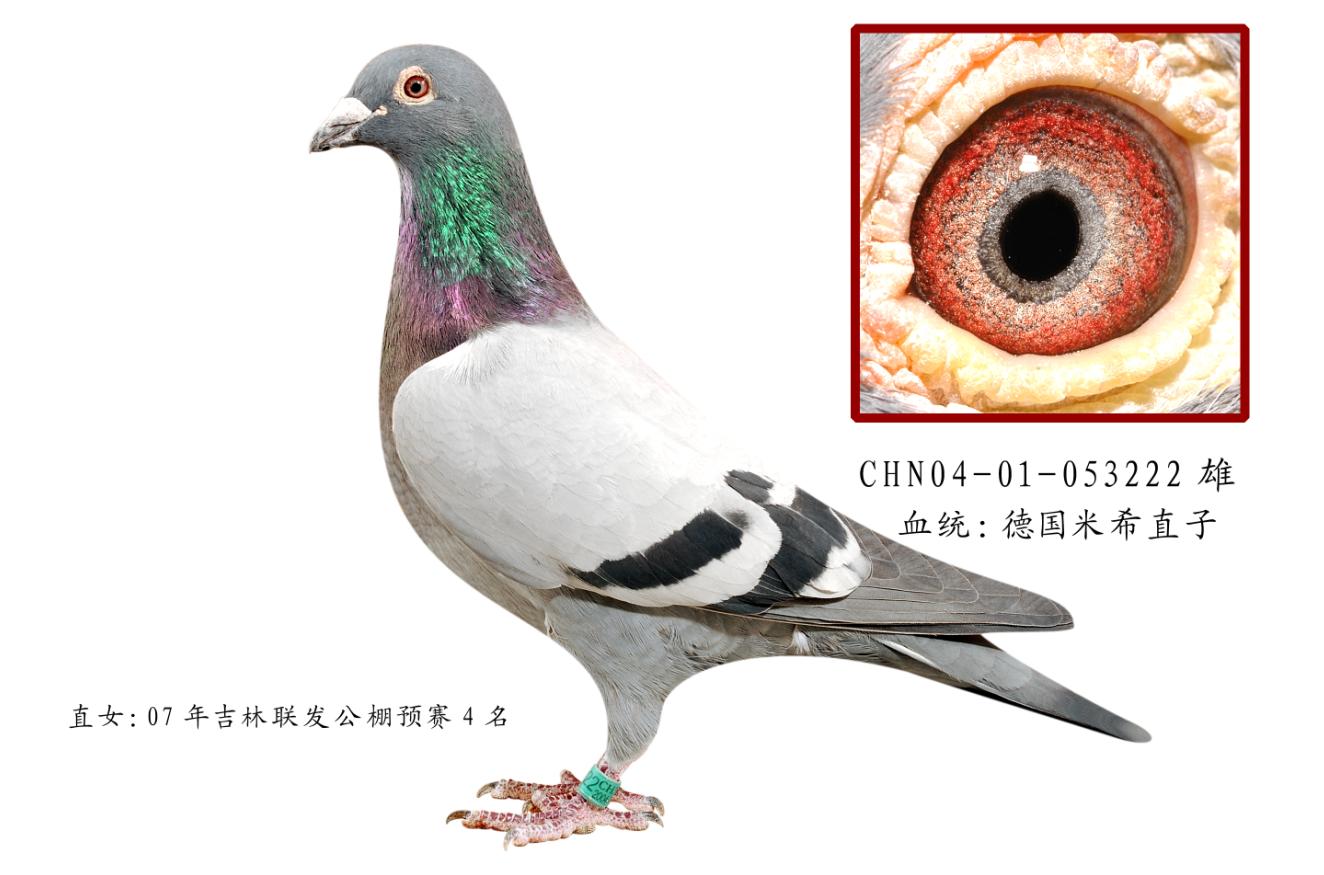 ĸֱ