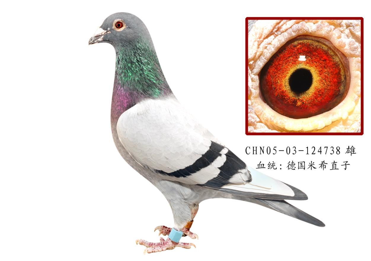 OƷ