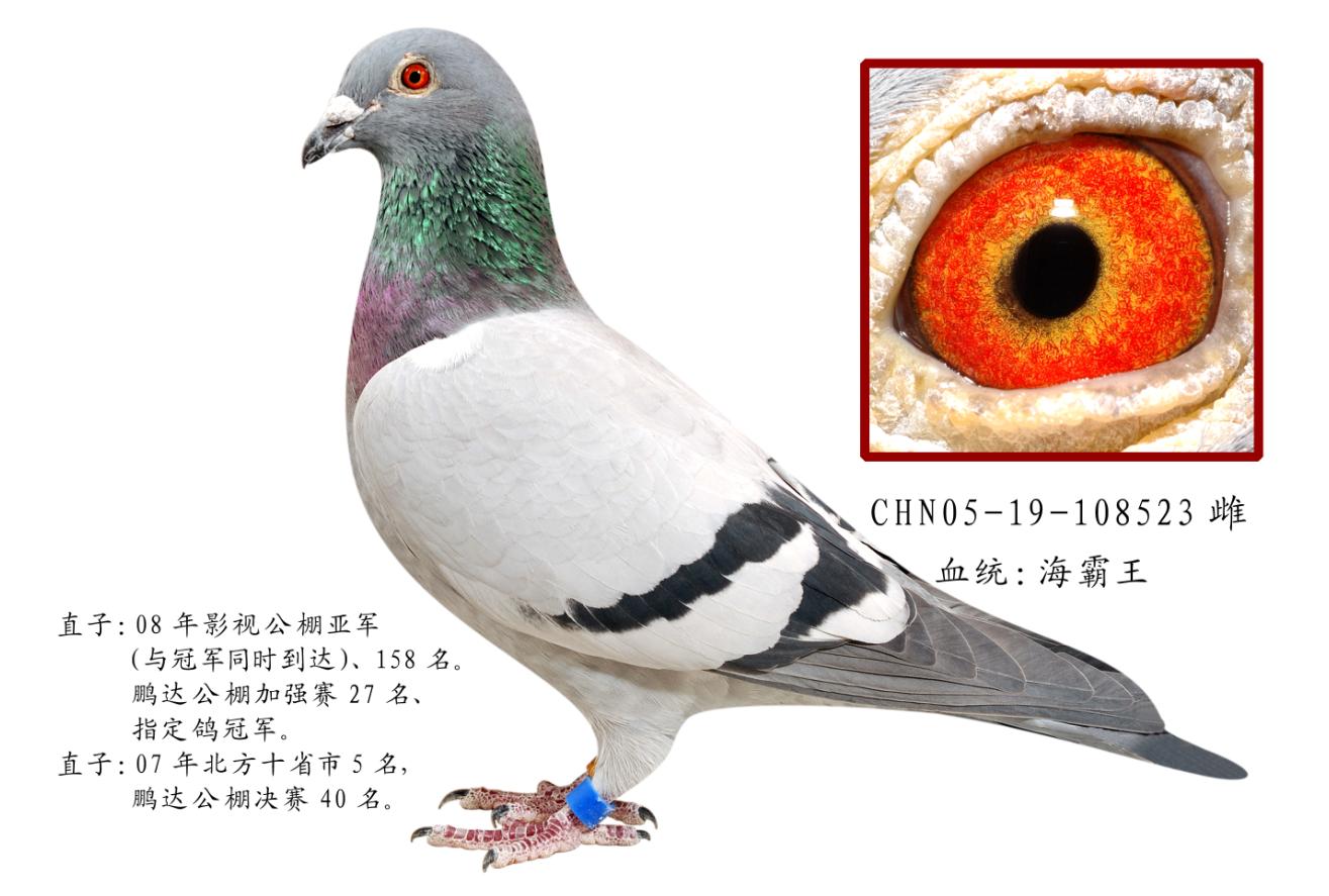 Ů
