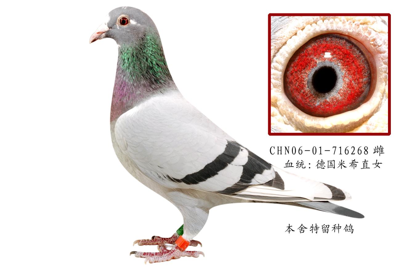 ĸֱŮ