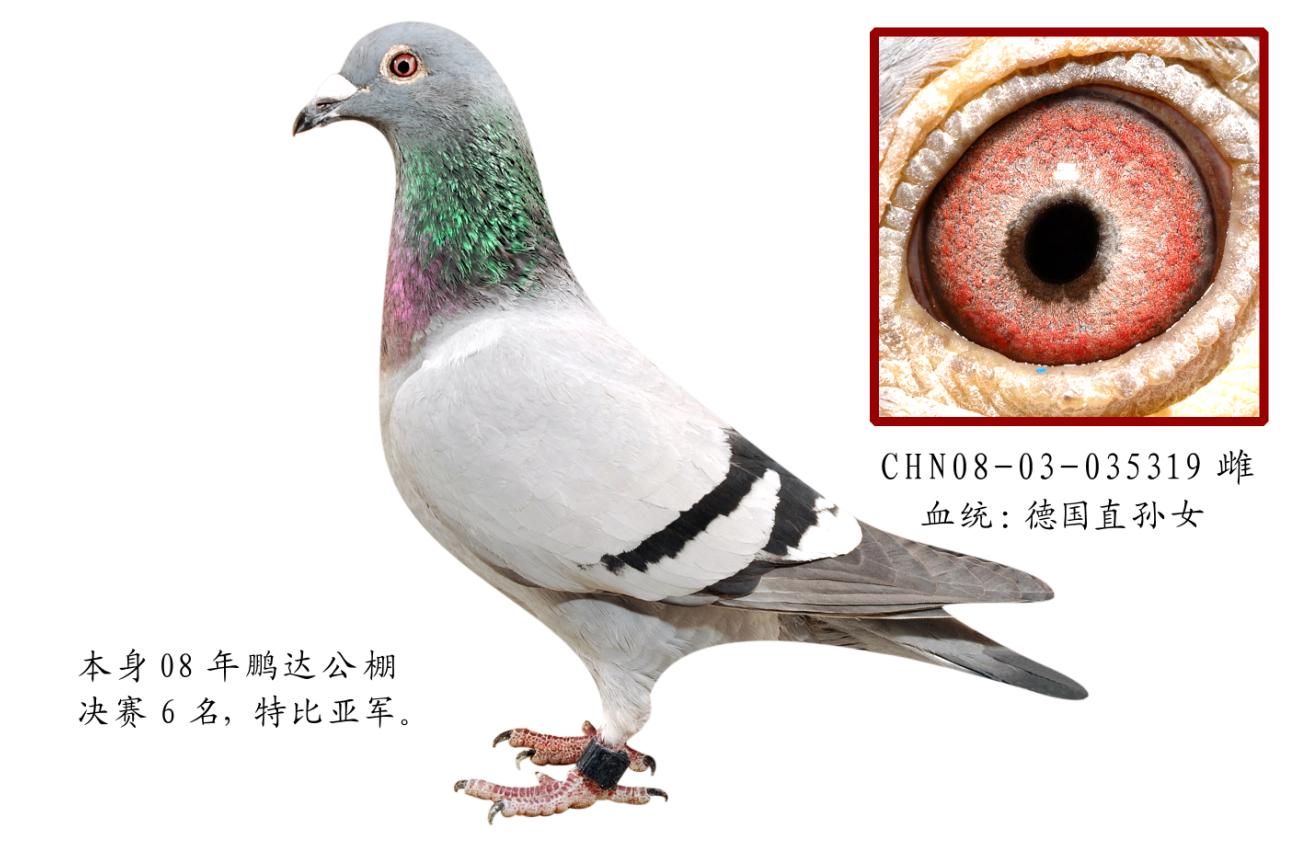 ĸֱOŮ