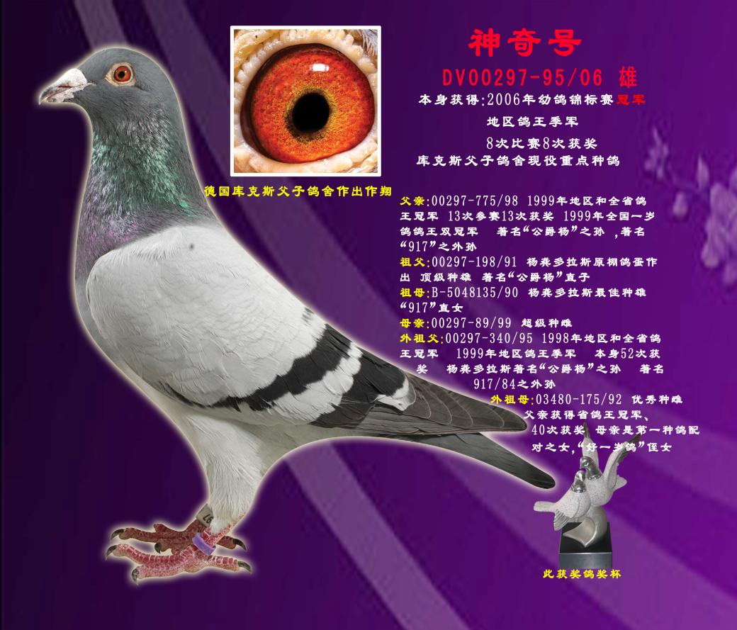 ̖(ho)