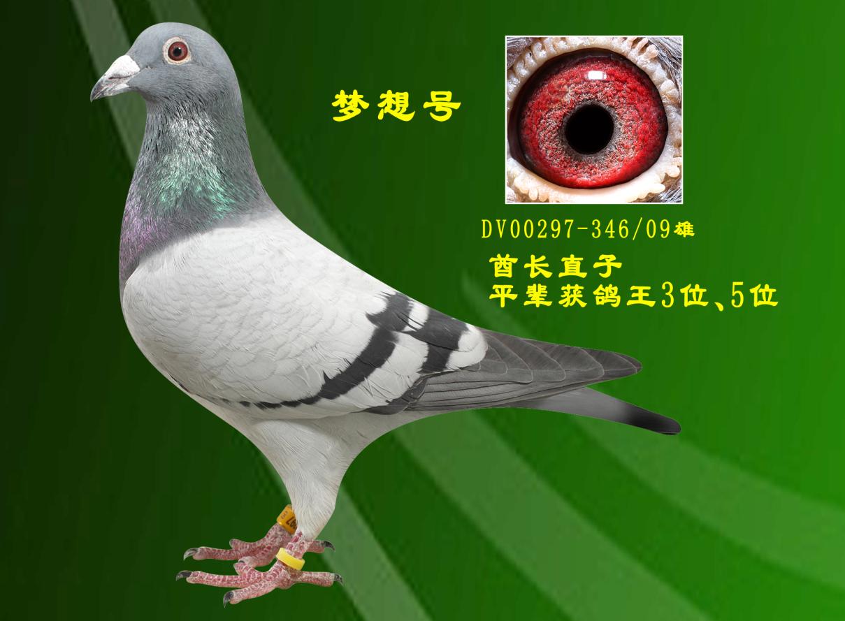 ̖