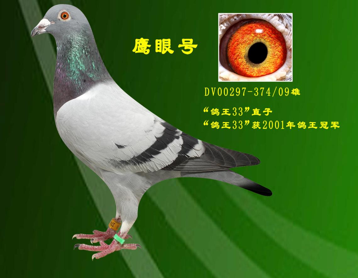 ̖(ho)