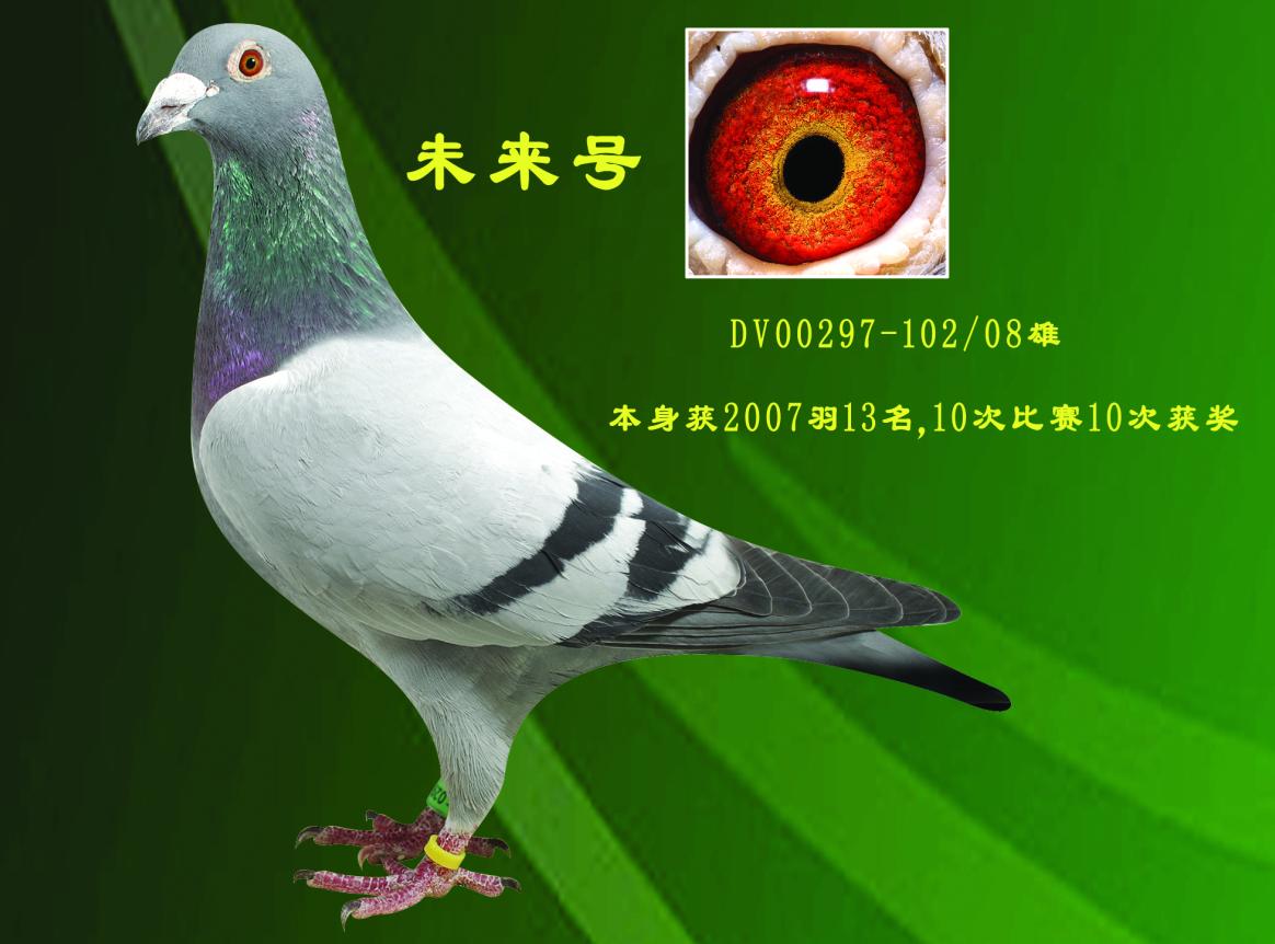 δ̖