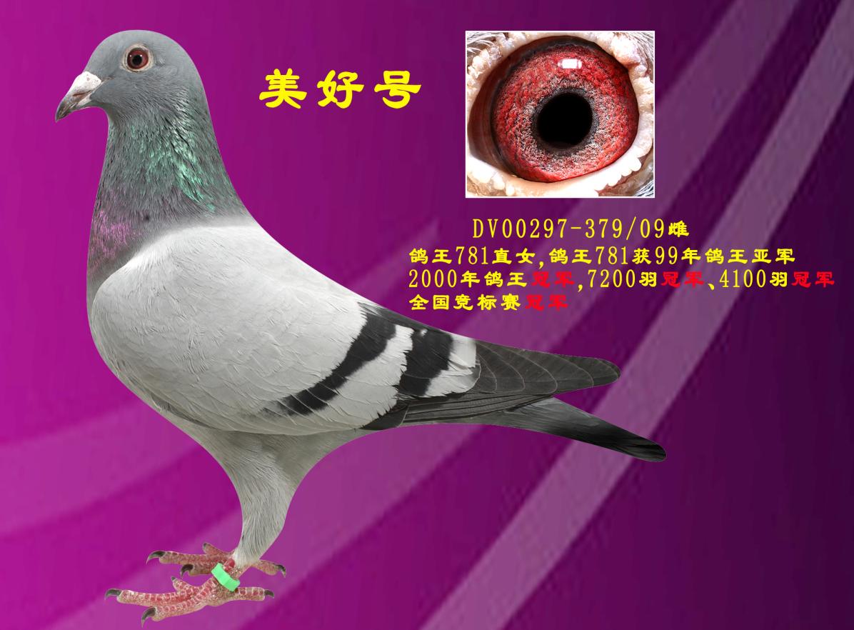 ̖