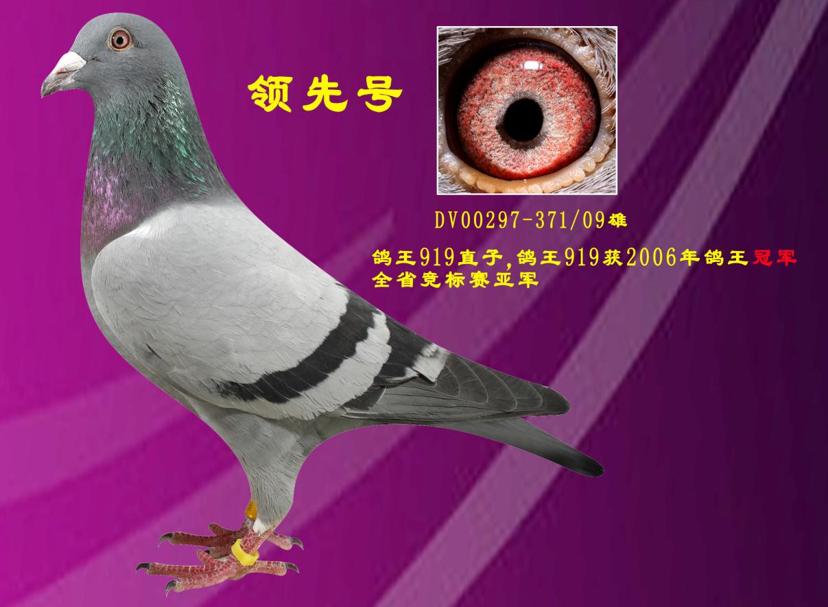 I(lng)̖(ho)