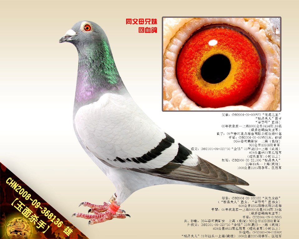 暢֡OƷˡѪֱO
