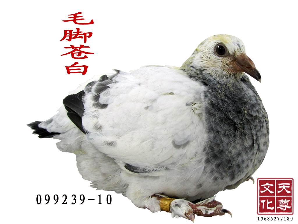 në_
