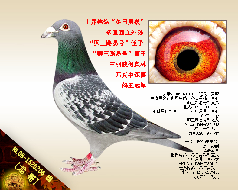 硿кѪO