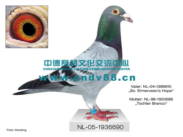 NL-05-1936690 V