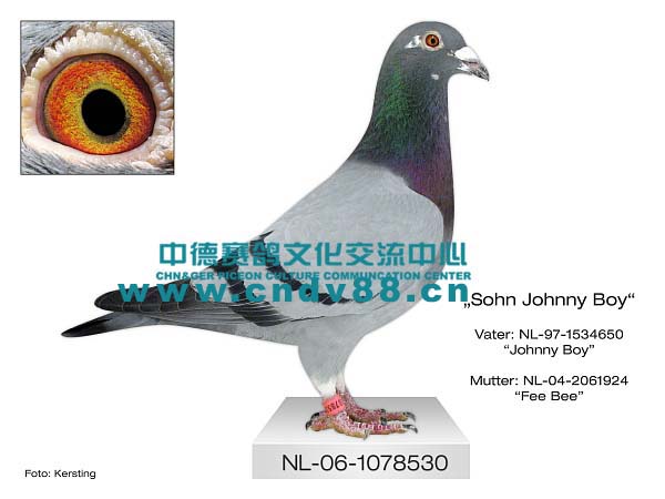 NL-06-1078530 V