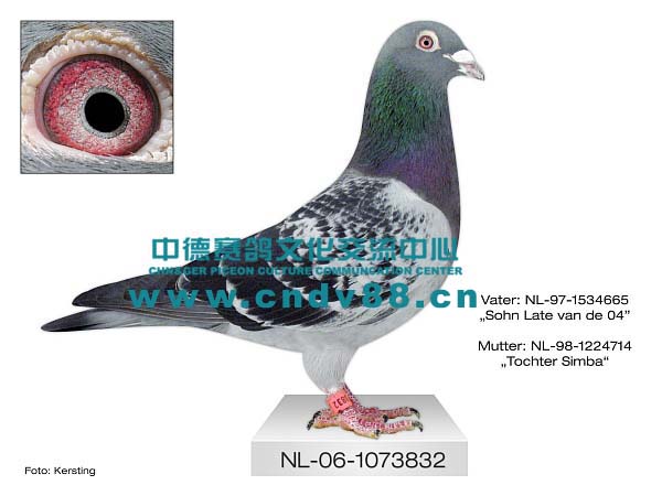 NL-06-1073832 V