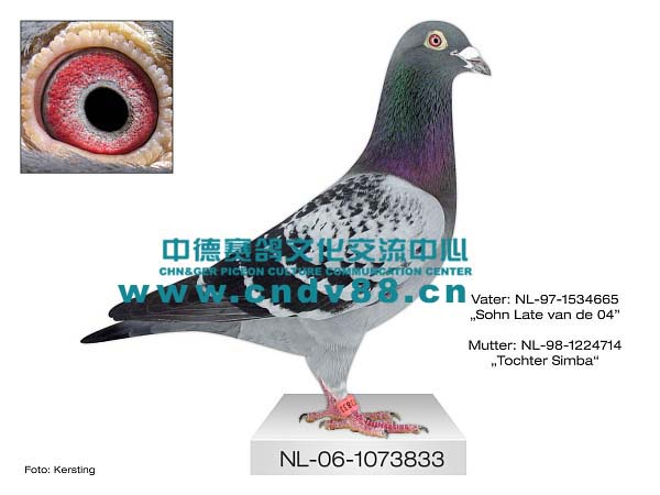 NL-06-1073833 V