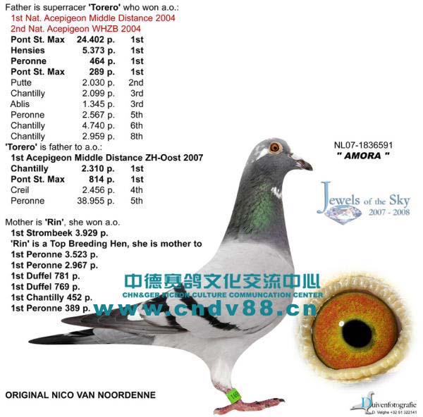 NL-07-1836591 V
