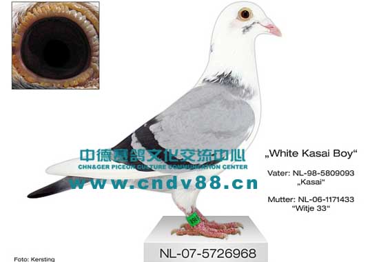 NL-07-5726968 V