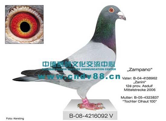 B-08-4216092 V