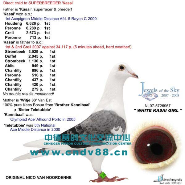NL-07-5726967 W