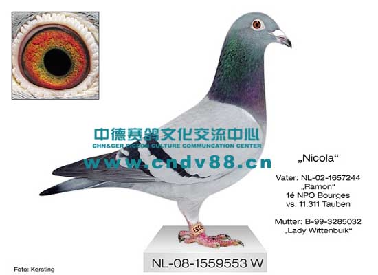NL-08-1559553 W